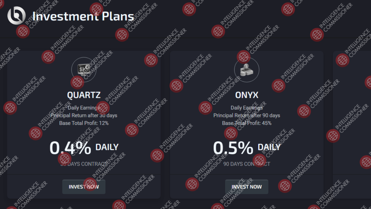 Investment plan Bitaveo