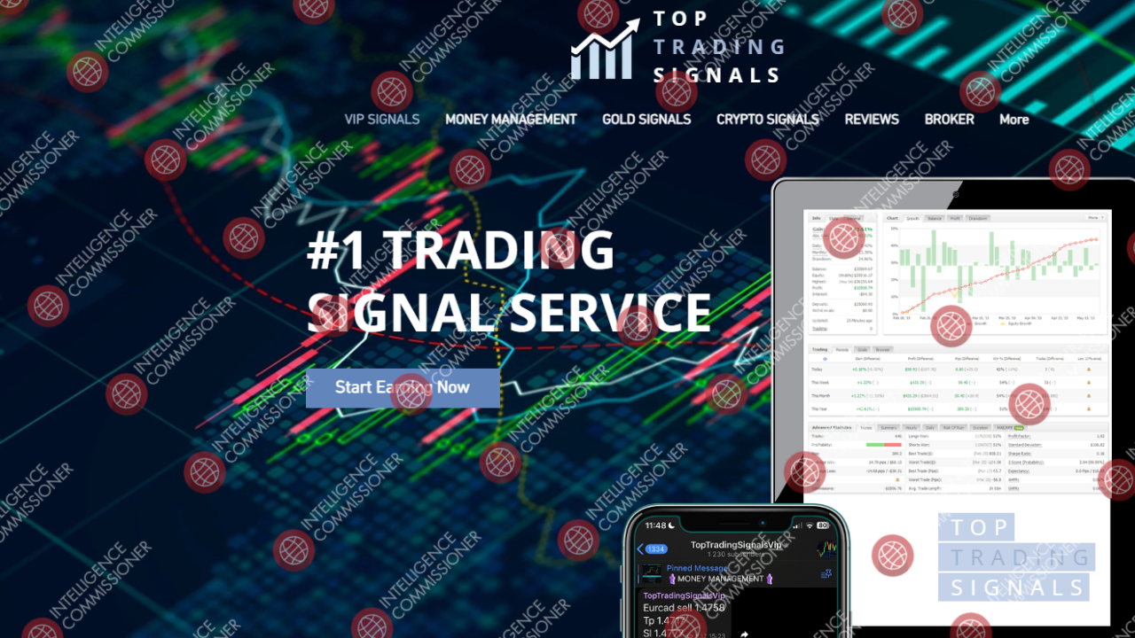 TopTradingSignals.net Homepage