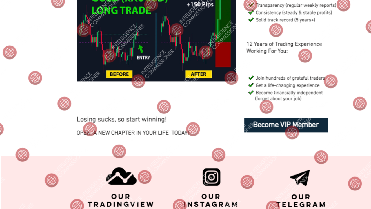 TopTradingSignals.net