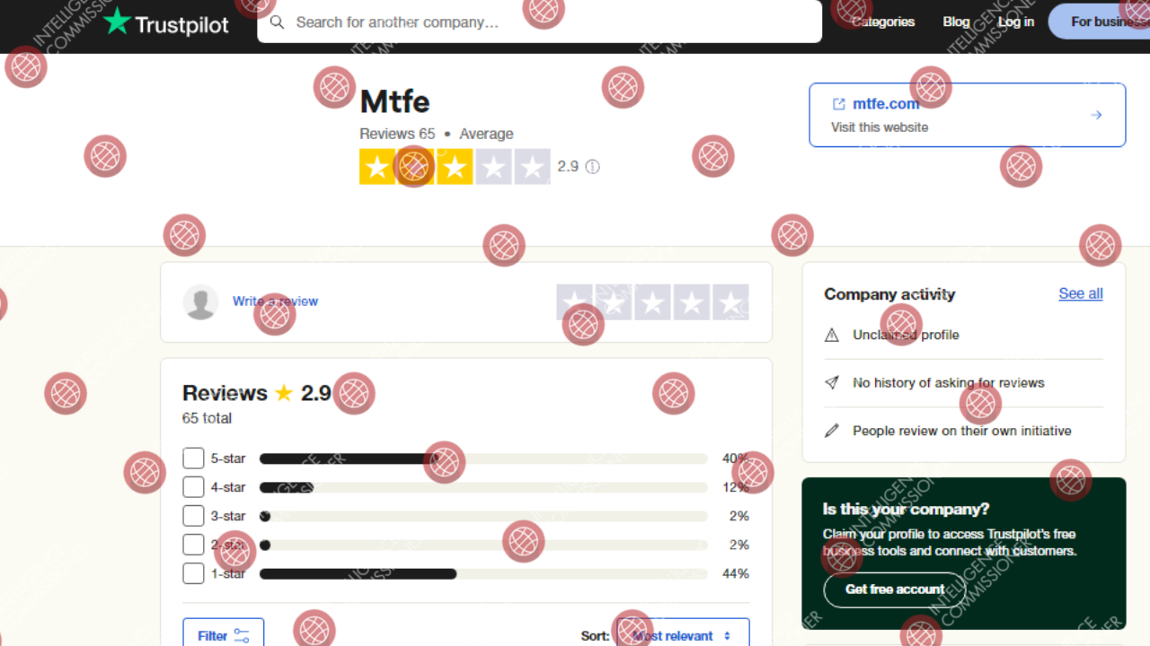 MTFE Trustpilot Reviews