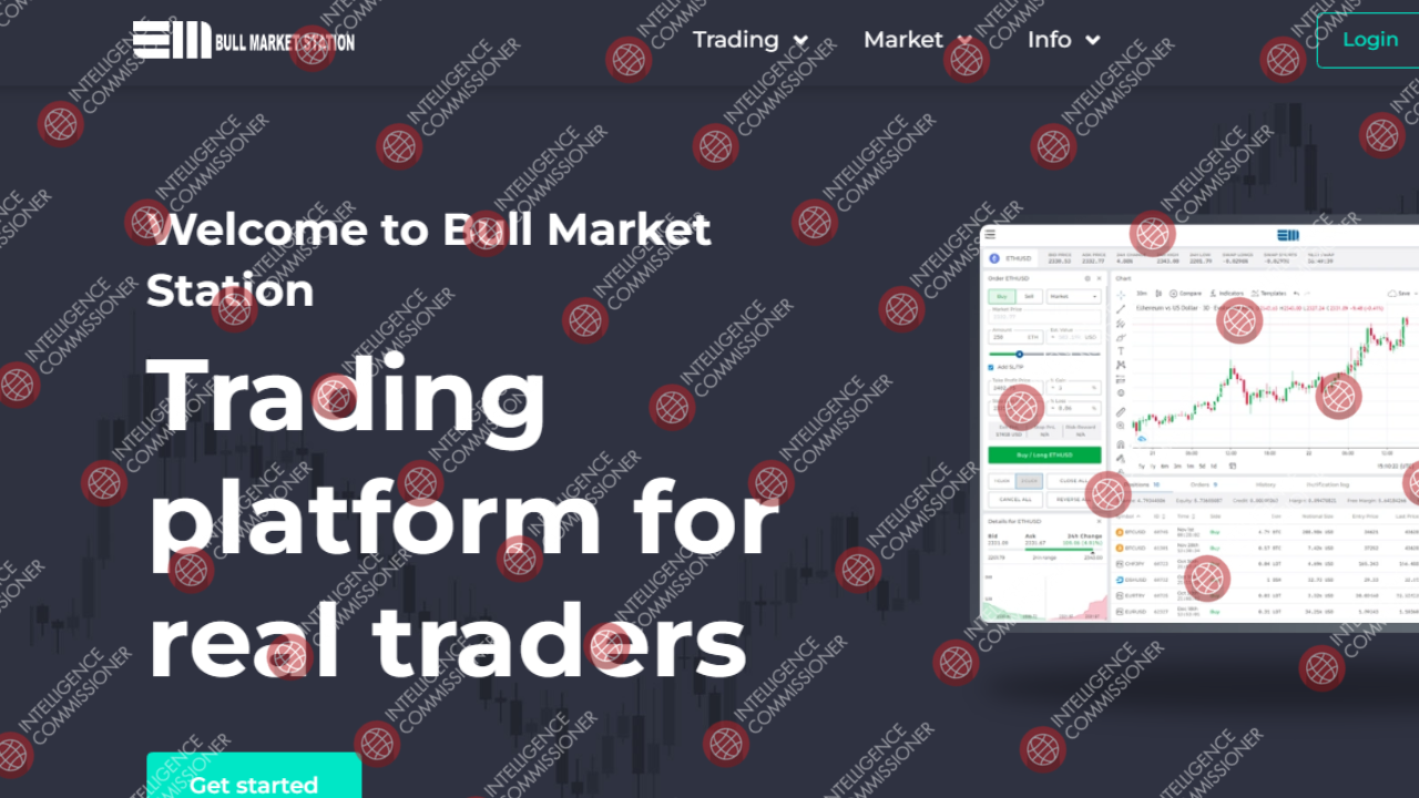 Bull Market Station Homepage