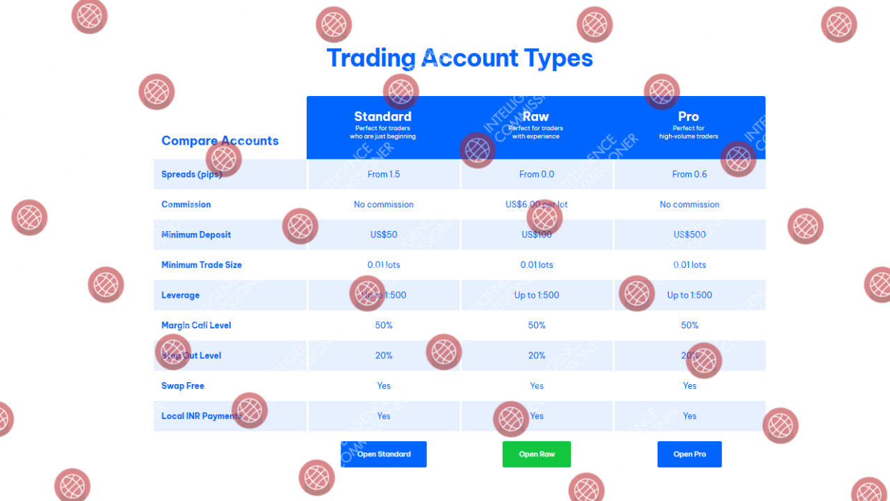 Different types of account offered by 
BlackBull Markets