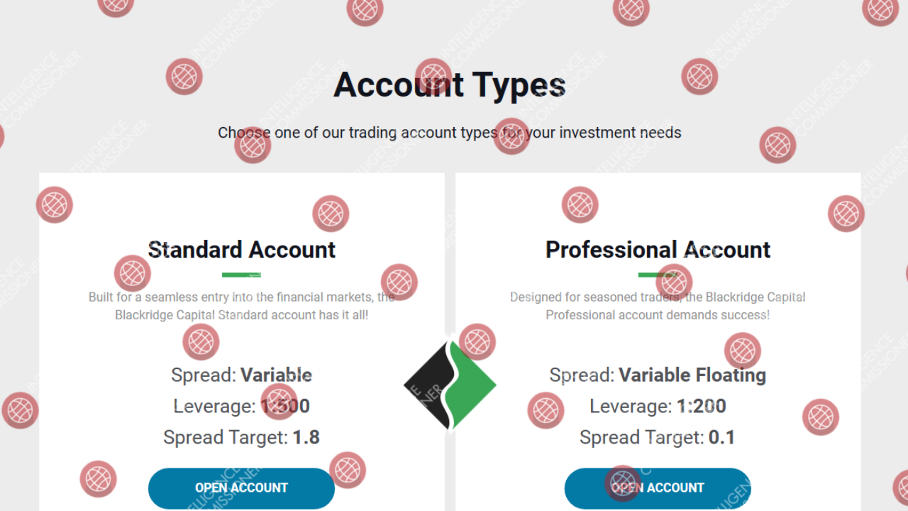 Blackridge Capital Management Account Types